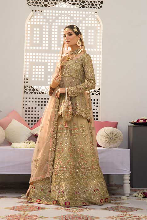 Beautiful Deepak perwani bridal dresses with price
